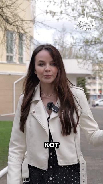 Йошкин кот появился в Йошкар Оле смотреть онлайн