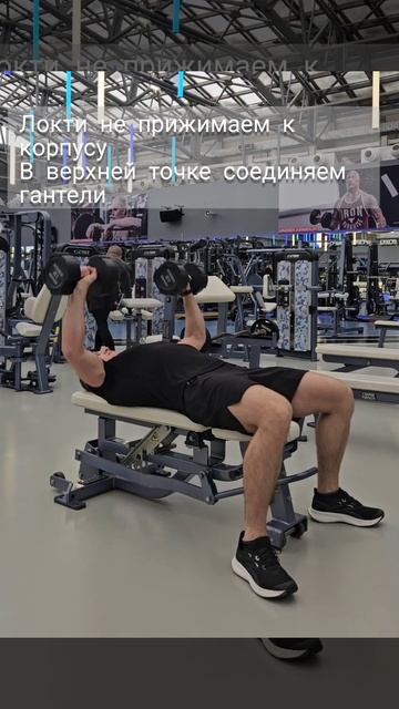 Жим гантелей на горизонтальной скамье. Упражнение для смотреть онлайн