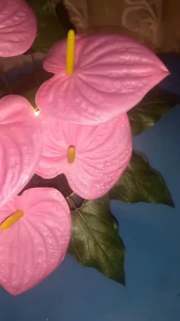 Светильники из изолона антуриум смотреть онлайн