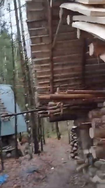 🏕️  из осиновой дранки в глухом лесу – строительство