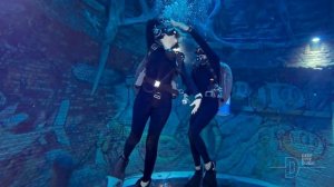 Дайвинг в Deep Dive Dubai
