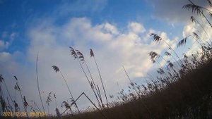 Флюгера парящих уток снова на охоте. Новый вариант уст