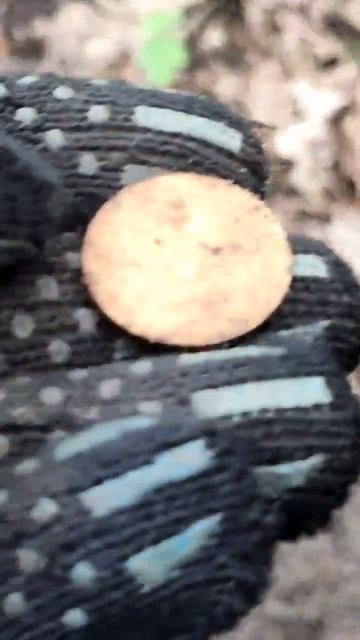 Золото партии лежало на глубине штыка лопаты, нашёл ег смотреть онлайн