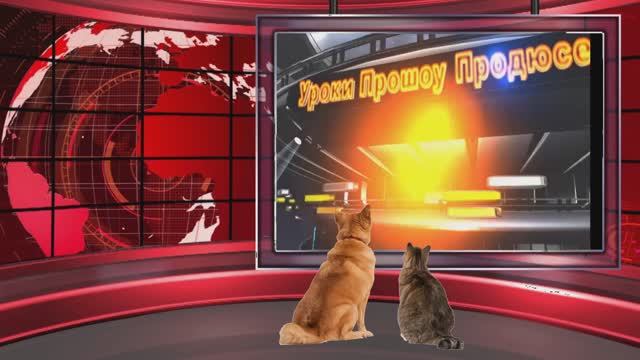 Прошоу продюсер ( что такое футажи и как их применить в программе)