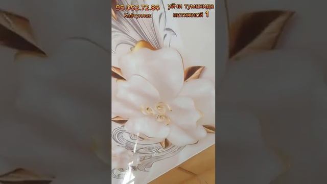 Уйчи туманида натяжной 3/1 смотреть онлайн