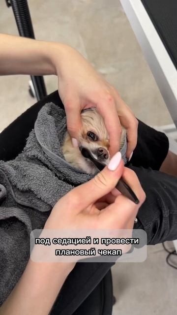 Болезнь может быть сюрпризом смотреть онлайн