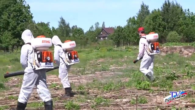 БОРЬБА С БОРЩЕВИКОМ В ЛУЖСКОМ РАЙОНЕ июнь 2019г смотреть онлайн
