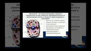 8- класс Биология Строение клетки
