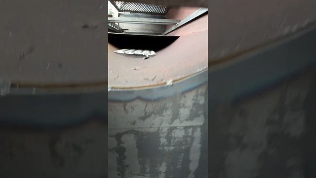 Смокер реверсивный 1520х630х8 мм,топка 520х6 мм смотреть онлайн