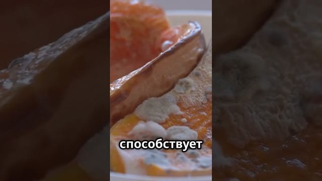 “6 Удивительных Продуктов, Которые Нельзя Класть в Хо?