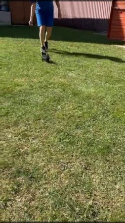 1000253962.mp4