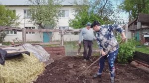 МАЙ СМОТРИ СПИНУ НЕ СЛОМАЙ, ПОСАДИЛИ КАРТОШКУ, ЖИЗНЬ в СЕЛЕ