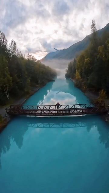 Быть тем кем хочешь быть #рек #жизнь #рекомендации #люд? смотреть онлайн