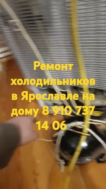 21 января 2025 г. смотреть онлайн