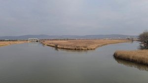 Отважная рыбалка на красноперку в водах реки Артемовк