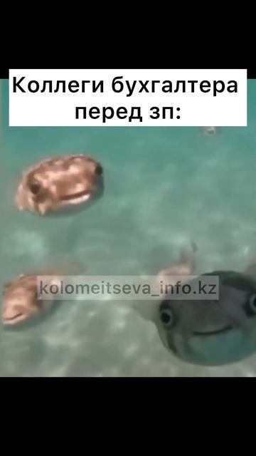 Милые и пушистые 🤗😁