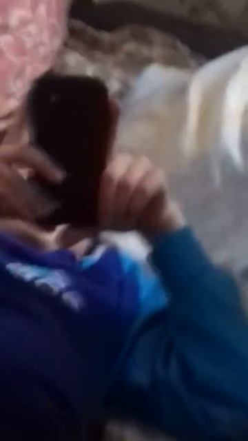 Вот как происходит монтировка видео смотреть онлайн