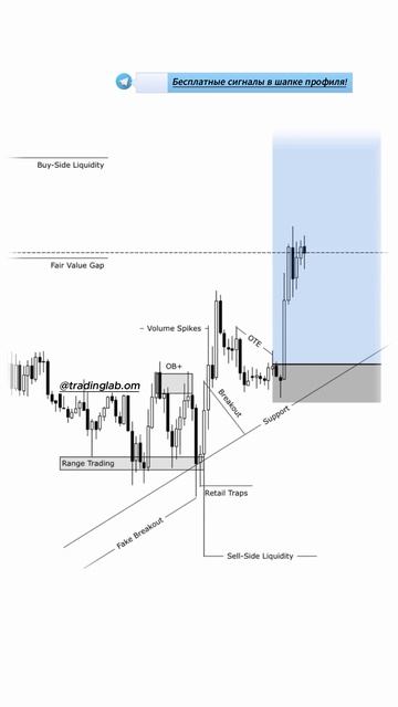 Модель «Захват ликвидности на трендовой линии и пробо смотреть онлайн