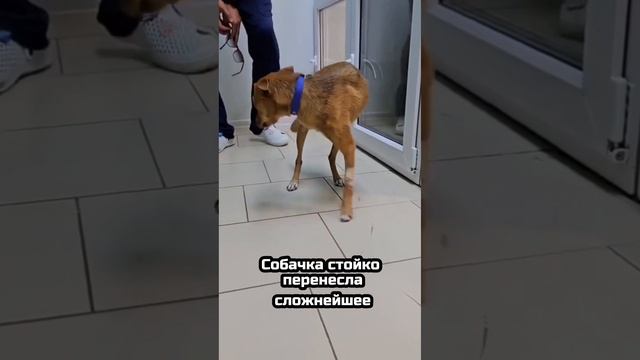 Нашла свой рай спустя боль и страх! | Нина