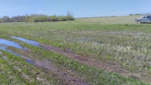 Не мучайся не сей козлятник 2