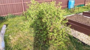 Апрель 2025.mp4