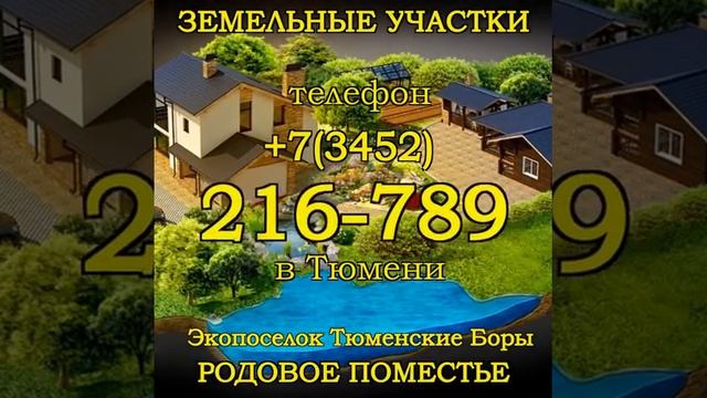Звенящие кедры в Тюмени Экопоселок
