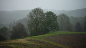 Снежное царство 45