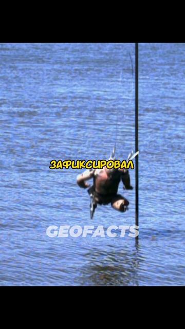 Спаёт ли молоток Если прыгнуть с большой высоты?😨 смотреть онлайн