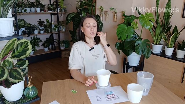 Секреты идеального полива для занятых и ленивых! Фити?
