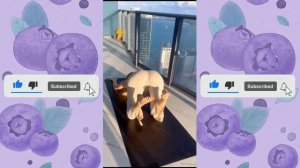 Тренды ТикТок #tiktok #shorts #bigbank #тикТок #shorts #lady #sexy