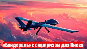 СВО. Ошибки учтены. Прорыв границы. Довод Зеленского. «Бандероль». 14.05.2025. Спецоперация