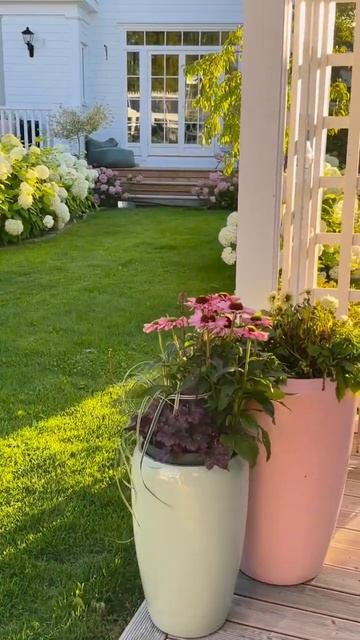 #hydrangea #hydrangeaflower #гортензия #hortensia #садгортензий #garden #са? смотреть онлайн