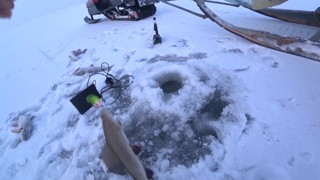 ЖЕСТЬ!!!! ПОИМАЛ МЕШОК РЫБЫ ЗА 10 МИНУТ!!!! В РУЧЬЕ ТОННЫ Р? смотреть онлайн