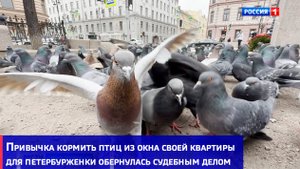 Привычка кормить птиц из окна своей квартиры для петербурженки обернулась судебным делом