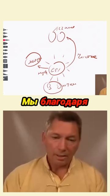 Как поднять почки с помощью цигун? смотреть онлайн