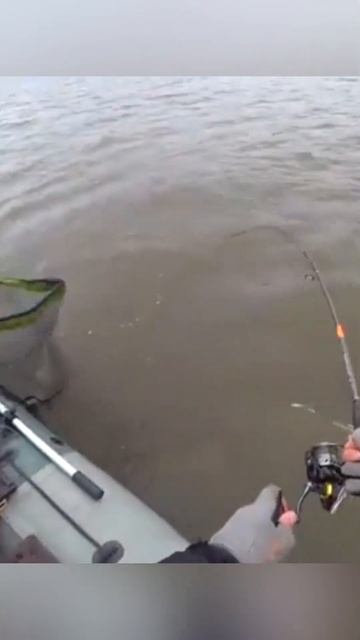 2 щуки в 1 подсак #рыбалка #fishing смотреть онлайн