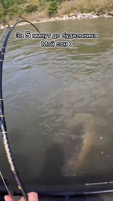 Сон рыбака смотреть онлайн