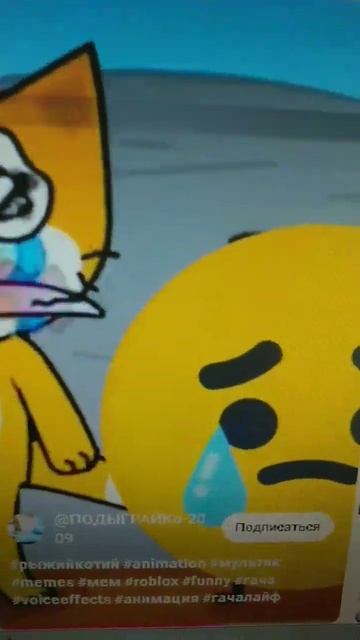 Зачем Рыжий кот и Й плачут из за пустяка #рыжийкотий #м? смотреть онлайн