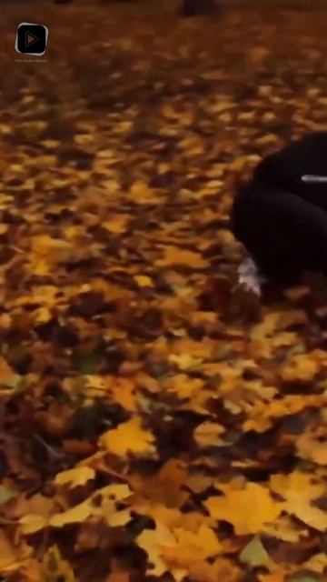 "Не может этого быть" | Эпилог: Последняя Надежда | Росс? смотреть онлайн