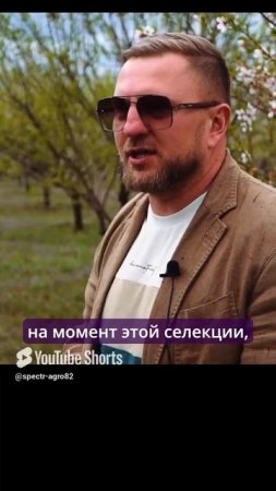 Как закладывается миндальный сад.