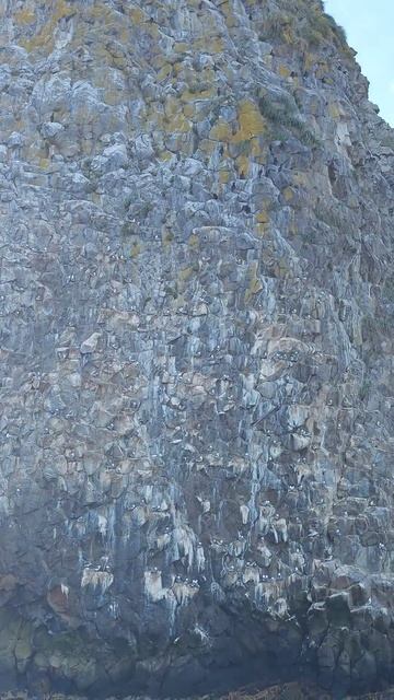 Россия, Камчатский край, Тихий океан. #Россия #Камчатка смотреть онлайн