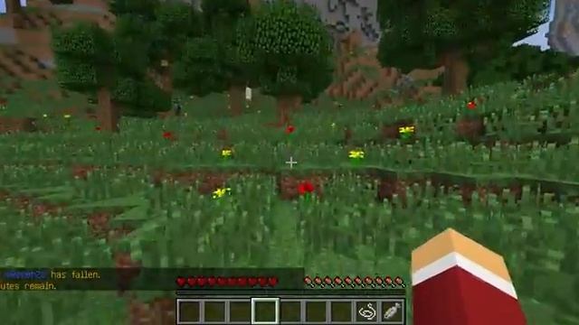 Бородатый HungerGames#1 "Замес"