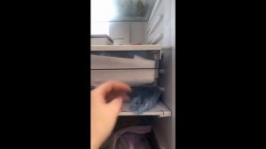 Распаковка — Холодильник с морозильником ATLANT ХМ 4626-159