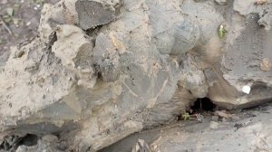 Есть ли вода в серой глине?