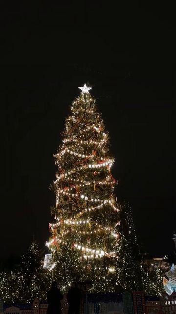 ЛУЧШИЕ ЕЛКИ РОССИИ (часть 1) #литература #новыйгод #елка смотреть онлайн