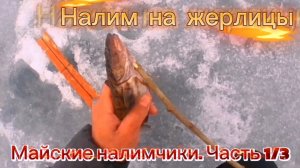 НАЛИМ. FISHING BURBOT. НА ЖЕРЛИЦЫ В МАЕ. ЧАСТЬ 1/3