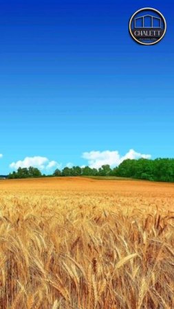 Советы при выборе участка