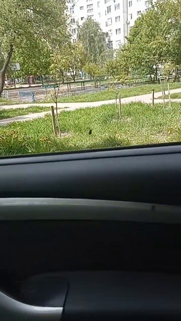 Не забывайте опариков в авто ! #рыбалка смотреть онлайн