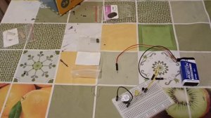 Сигнализация своими руками #сигнализация #своимируками #diy