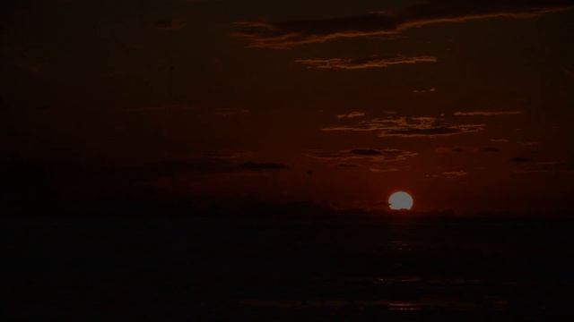 Женщина отдаст тебе свое тело бесплатно, если увидит